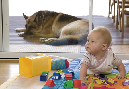 Baby at home together with the dog